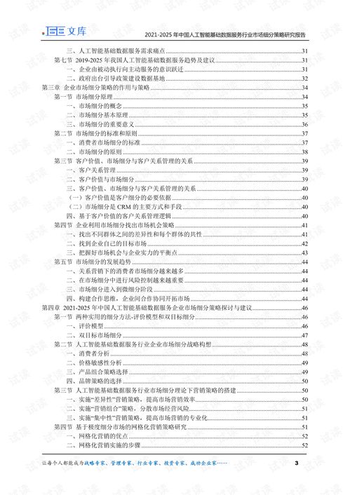 2021-2025年中國人工智能基礎(chǔ)數(shù)據(jù)服務(wù)與行業(yè)應(yīng)用系統(tǒng)集成服務(wù)市場細分策略研究報告